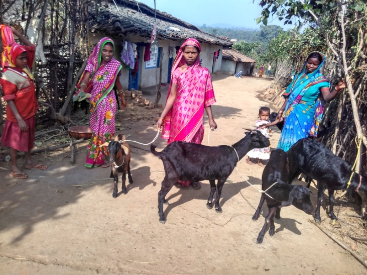 Livelihood and Agriculture Development standing tall