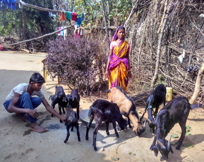 Livelihood and Agriculture Development Women Lead
